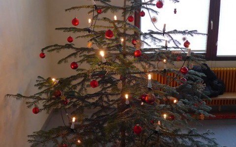 Gürtelprüfung und Weihnachtsfeier am 17.12.2016